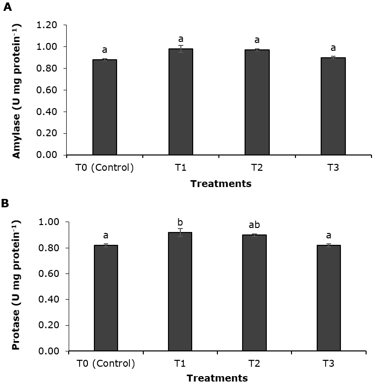 Effect Of Ginger Zingiber Officinale Extract On Growth Performance